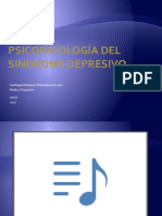 Clase Psicopatologia Sindrome Depresivo 2013