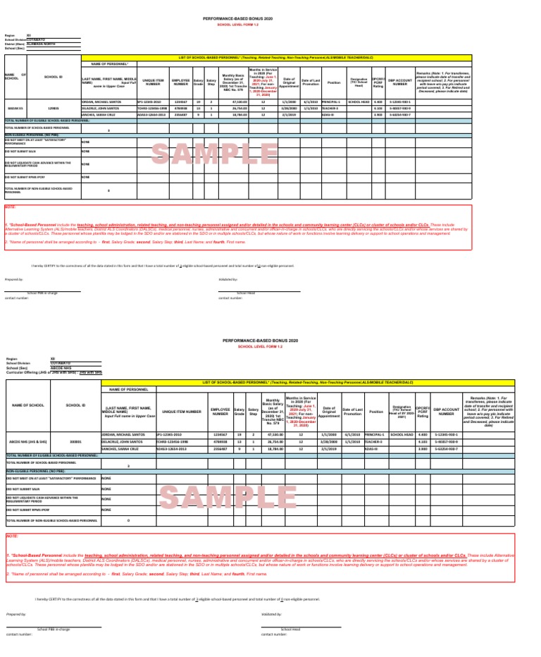 PBB 2020 School Personnel Summary | PDF