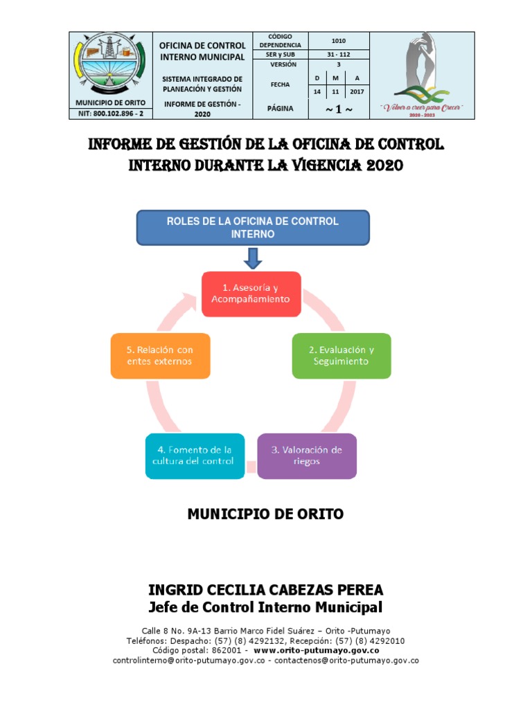 Informe de Gestion Control Interno 2020 | PDF | Auditoría | Planificación