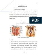 anatomi sistem fisiologi perkemihan-dikonversi