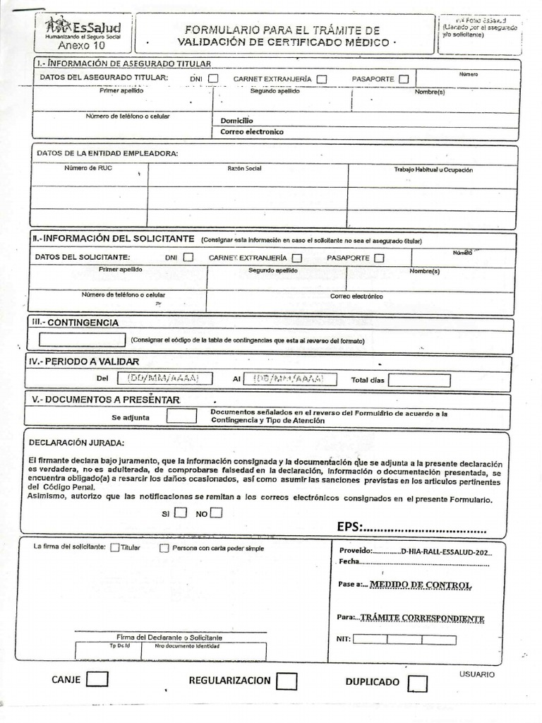 Formato de Regularizacion de Citt | PDF