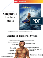 Chapt11 Lecture