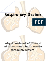 Respiratorysystem