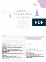 Action of Catalase On Hydrogen Peroxide