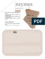 Enzymes Student Task