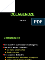 Cursul 10 Colagenoze