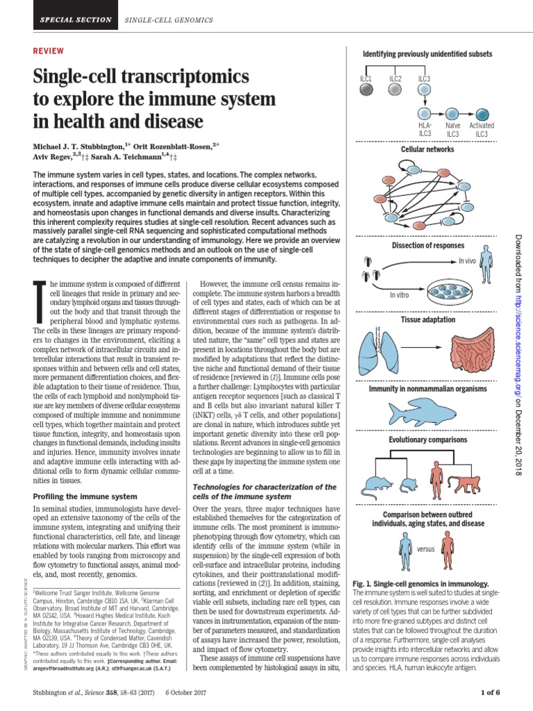 Singlecelltranscriptomics | PDF | Immune System | Innate Immune System