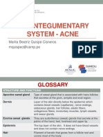 GLOSSARY - Integumentary System - MQC