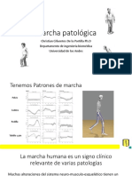 Clase 17-Marcha - Patologica