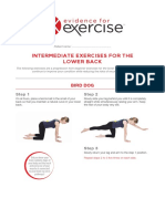 Prescription-Intermediate Exercises For The Lower Back 1.0-Evidence For Exercise