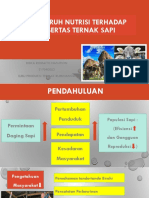 Nutrisi Pakan Ternak Ruminansia