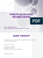 310318120355Hincapie--Principles of Hand Rehab