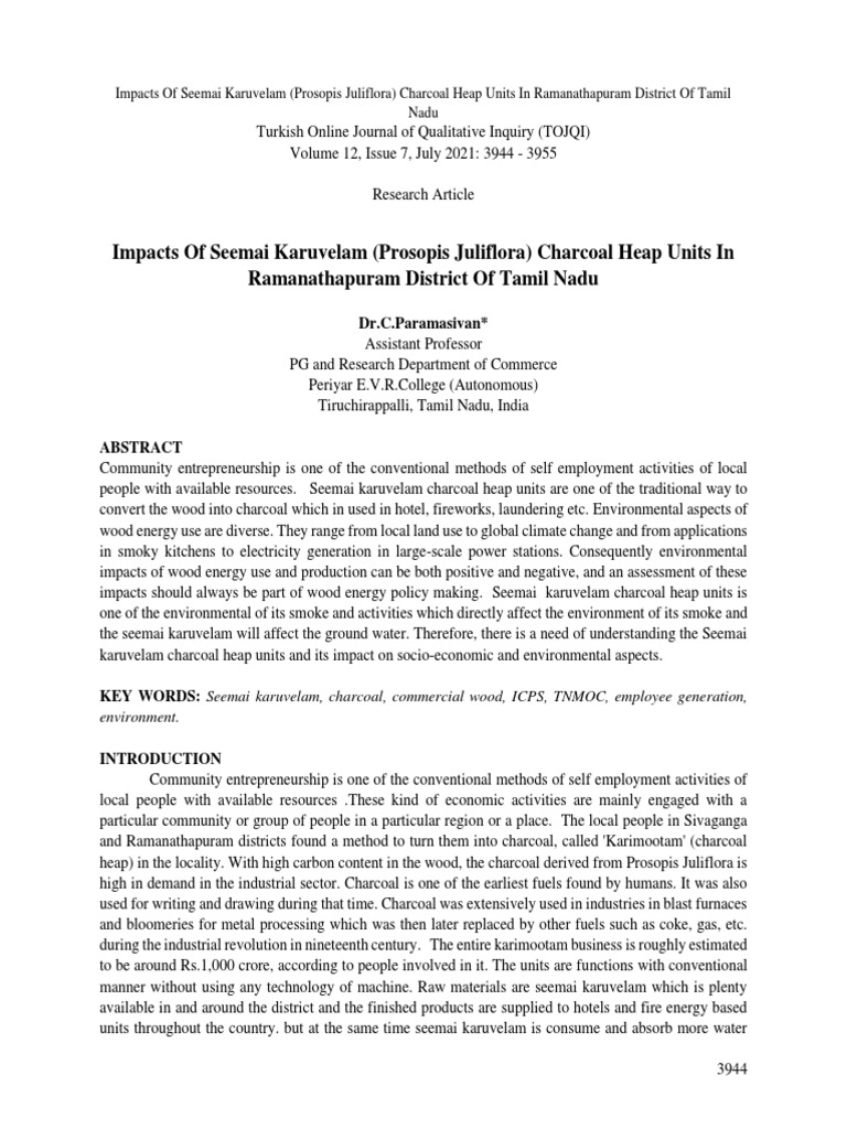 Scopus Article 2021 PDF Fuels Sustainability