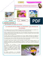 LEEMOS JUNTOS La Extinción de Las Abejas Un Fenómeno Que Amenaza Al Ecosistema