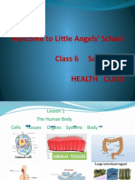 Welcome To Little Angels' School Class 6 Section B2 To Health Class