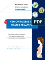HEMORRAGIAS DEL PRIMER TRIMESTRE-ANDRES FERNANDO MACIAS PEREZ- SILVIA DAYANZA ZAMBRANO CEDEÑO