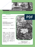 Boletín Pankia 2013 JULIO-DICIEMBRE
