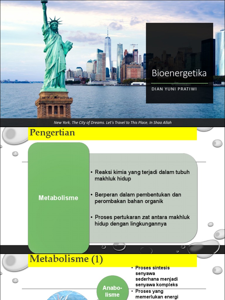 Bioenergetika | PDF