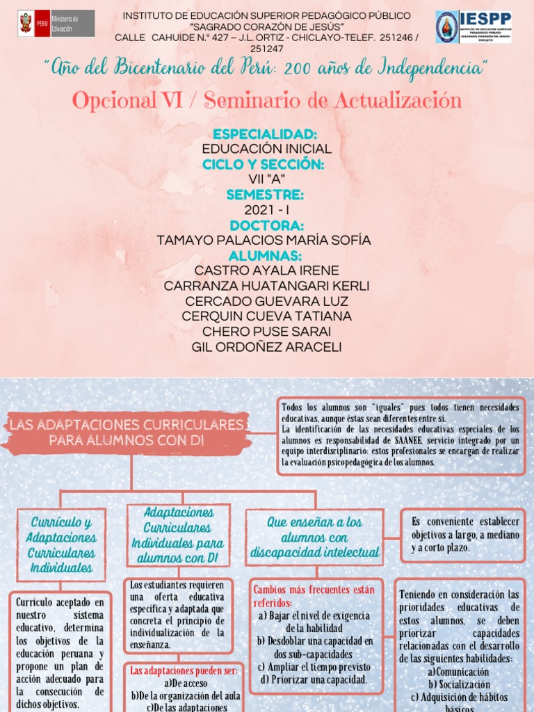 Adaptaciones Curriculares para Discapacidad | PDF | Plan de estudios ...