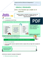 Ficha de Ciencia y Tecnología 02 de Setiembre