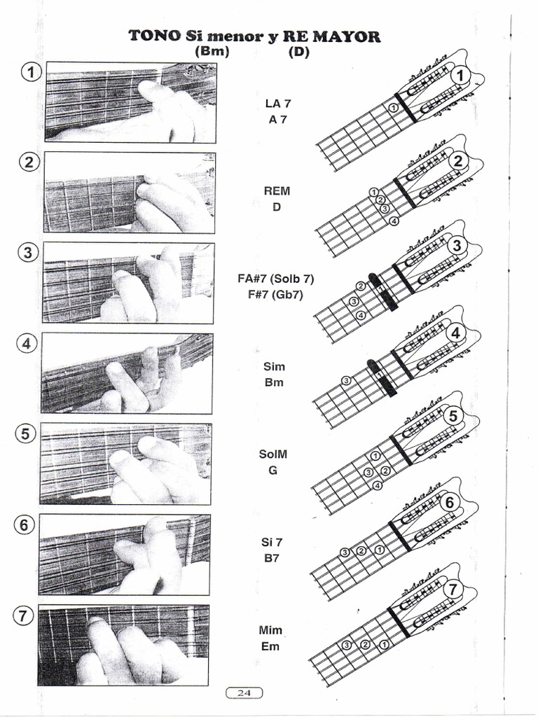 Acordes Charango D Pdf