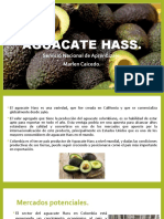 Aguacate Hass (Expo)