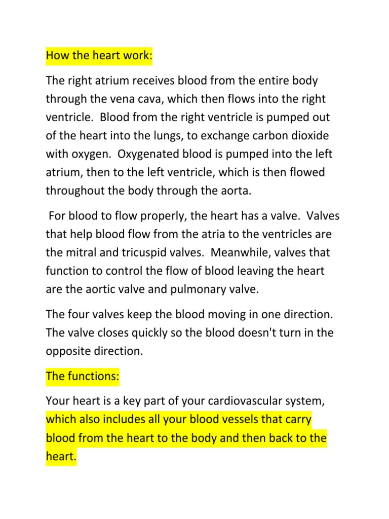 Understanding Heart Function and Valves | PDF
