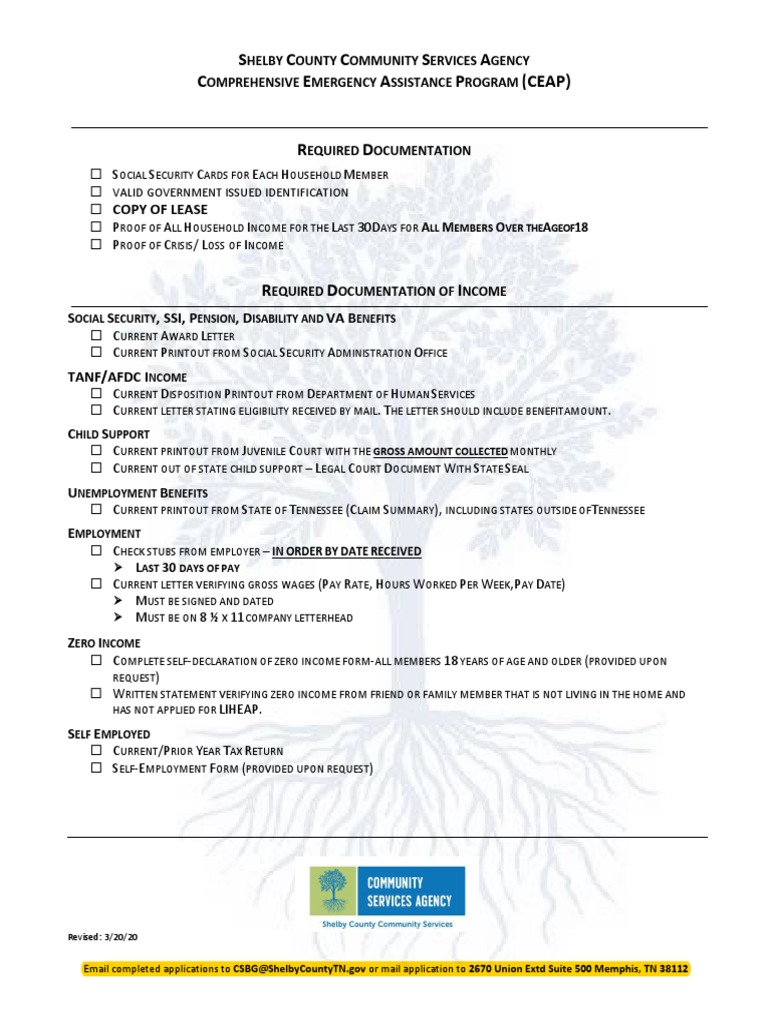 Updated Completed CSBG APPLICATION1 | PDF | Perjury | Child Care