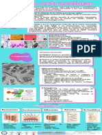 Infografia Aprendo Con SCIEM UCSUR