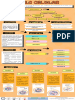 Infografia Aprendo Con SCIEM UCSUR 1