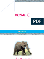 Vocal E 2