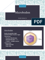 Microbodies - Express Yourself