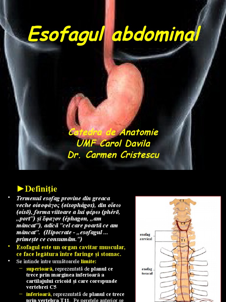 Esofagul Abdominal | PDF