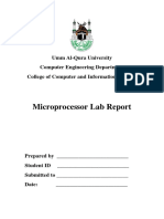 Microp LAB Record