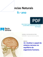 Sistema Nervoso (SN)