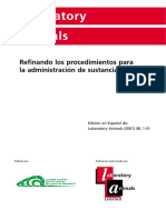 Refinando Los Procedimientos