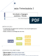 Anatomia Veterinária I: Introdução e Linguagem Anatômica