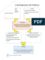 Diagnótico Del Problema