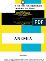 Analisis Dan Rencana Penanggulangan Anemia Pada Ibu Hamil