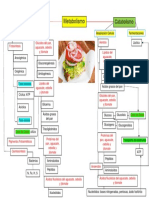 Mapa Conceptual Del Metabolismo