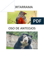 Animales en Peligro de Extincion