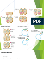 Genotipos y Auxotrofia 27 09 21