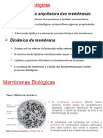 membranas biologicas