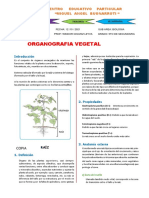 Organologia-Vegetal-I-para-Quinto-Grado-de-Secundaria