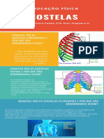 Costelas verdadeiras, falsas e flutuantes - anatomia e classificação