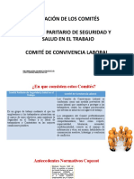 Conformacion-Comites