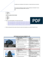 Especies Arboreas y Arbustivas