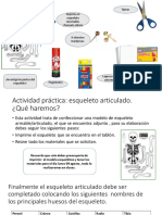 Actividad Práctica Esqueleto Articulado (Nombres Huesos)