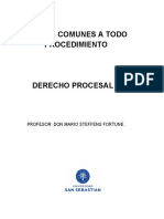 2) Reglas Comunes-Derecho Procesal Ii