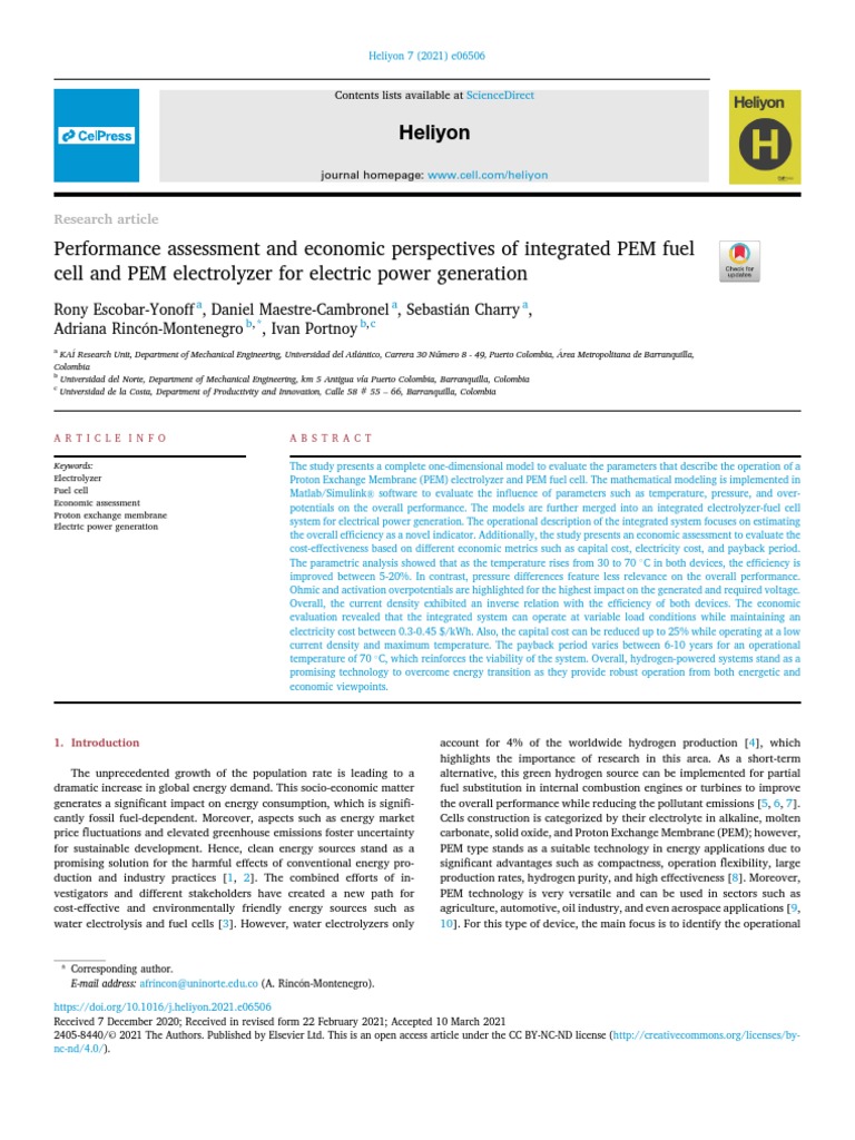 Performance Assessment and Economic Perspectives of Integrated PEM Fuel ...